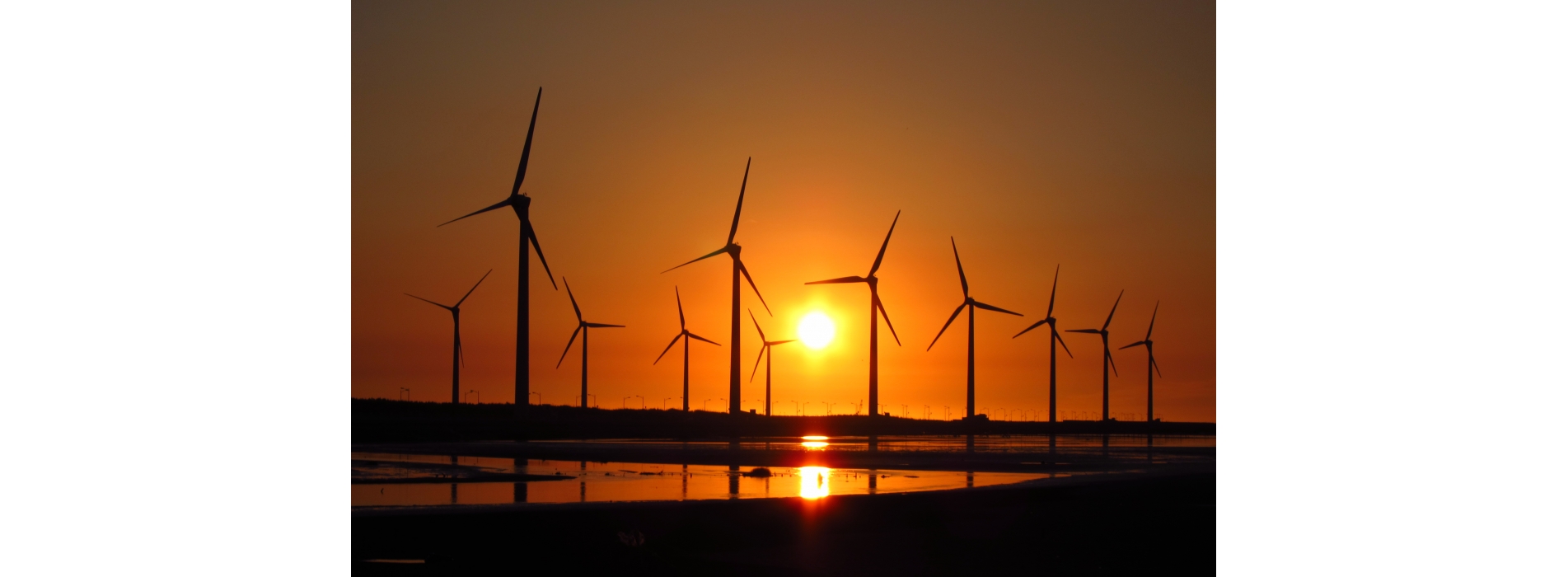 高美濕地 中部包車一日遊