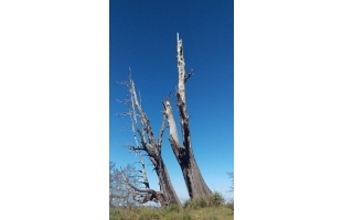南部包車旅遊,包車一日遊.jpg 南部包車旅遊,包車一日遊.jpg