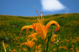 東部旅遊 六十石山.jpg 東部旅遊 六十石山.jpg